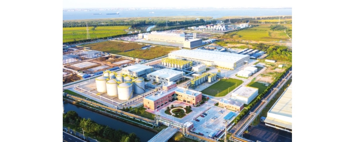 胜牌（张家港）润滑油有限公司1129.jpg