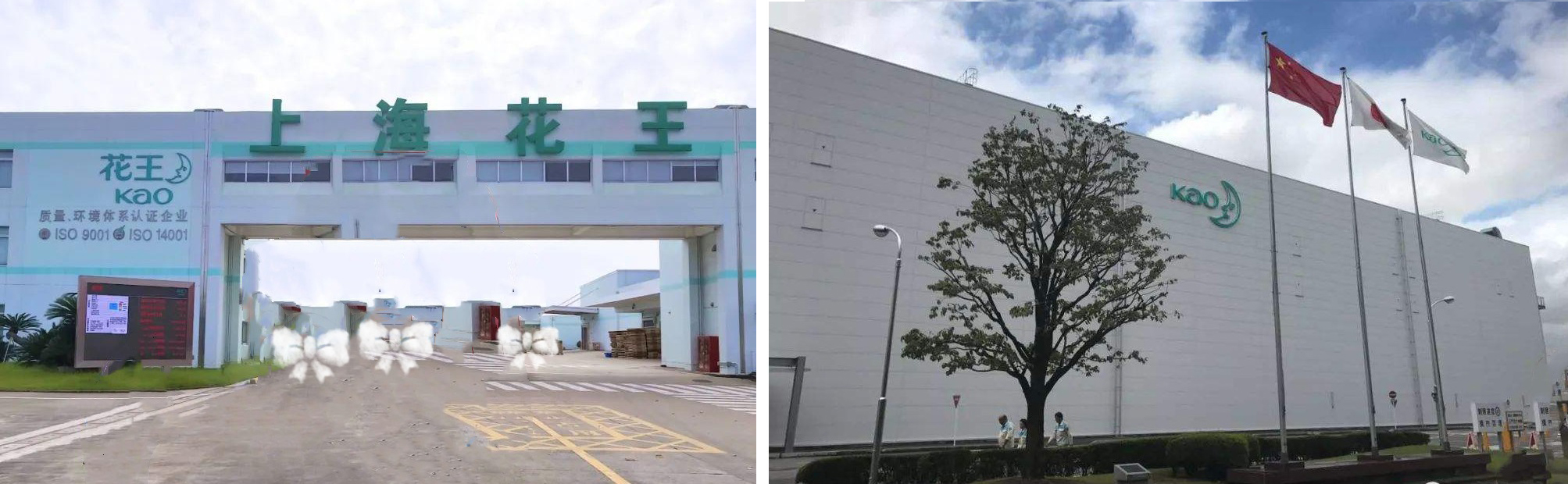 上海花王化学-3.jpg