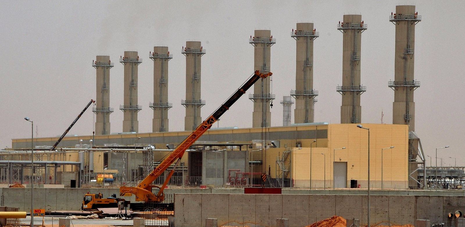 Riyadh Grass Root--3.jpg